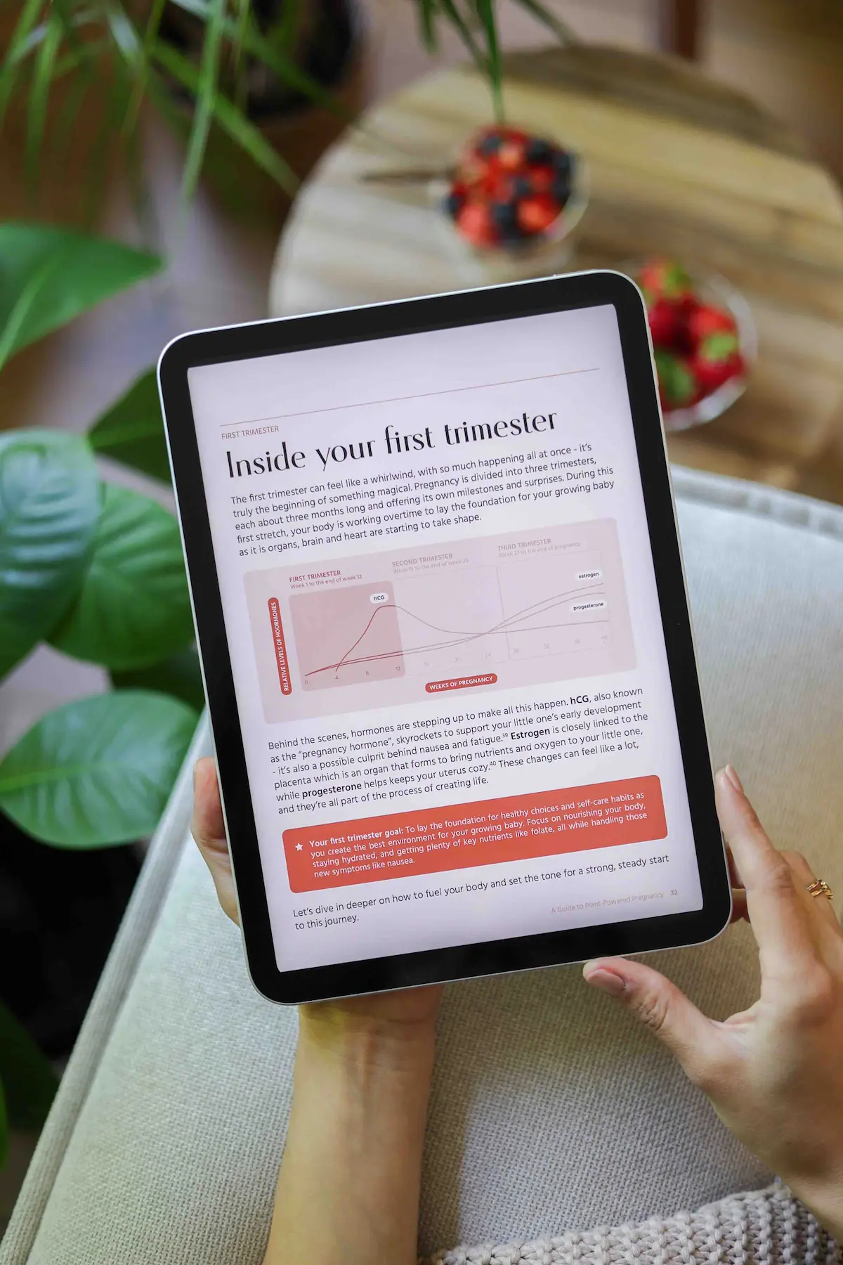 Plant-based pregnancy eBook preview on tablet — vegan pregnancy guide with trimester-specific nutrition tips for pregnant vegetarians and vegans.